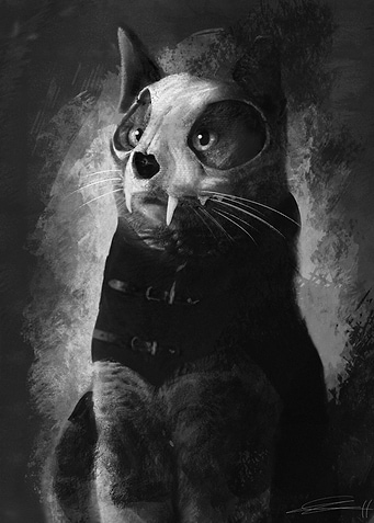 Black Magic Feline