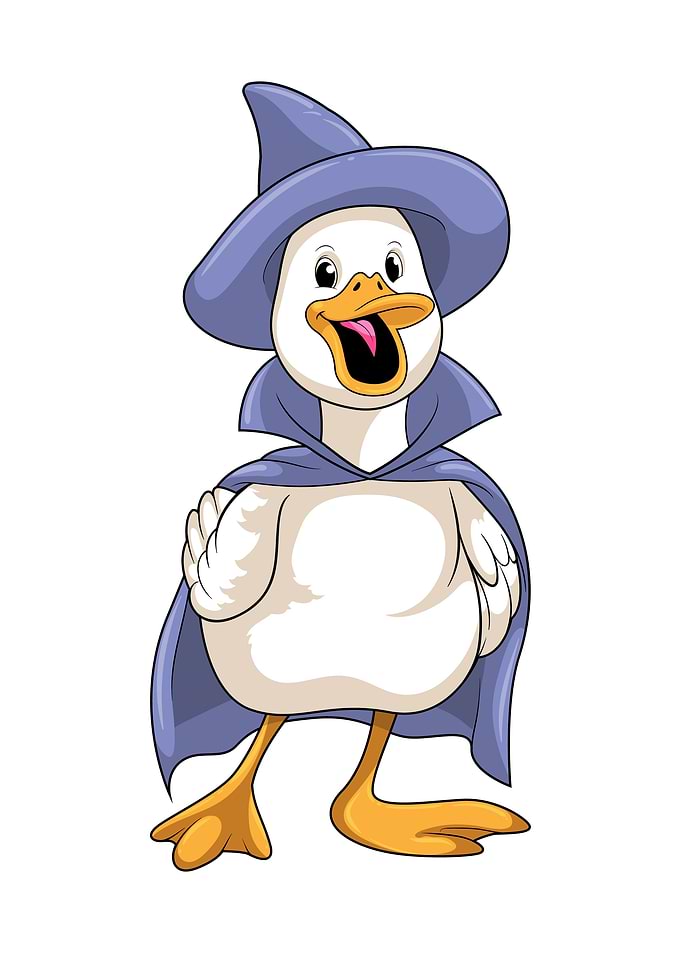 Duck Witch Hat