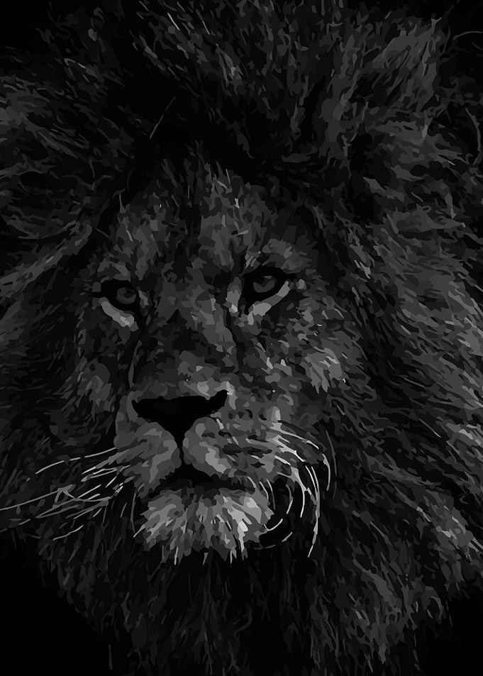 FACE LION KING