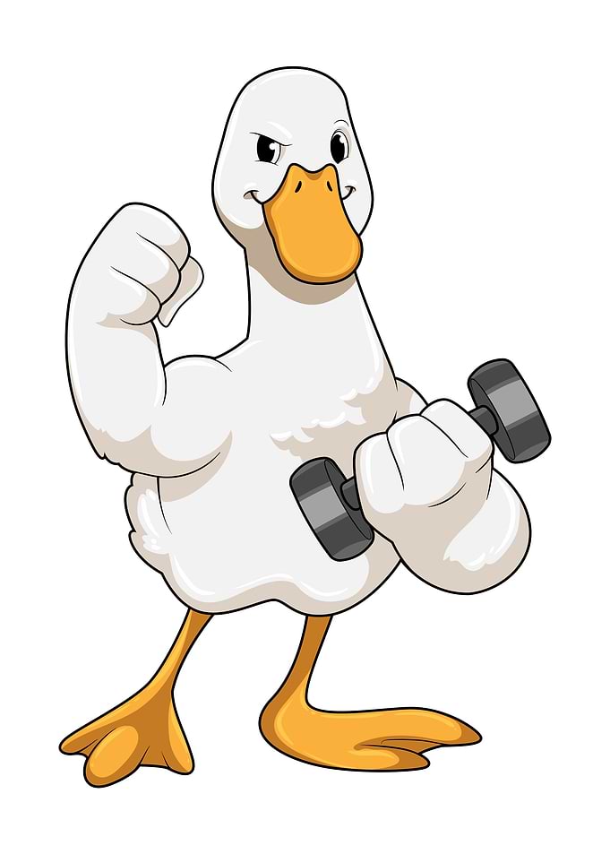 Duck Bodybuilding Dumbbell