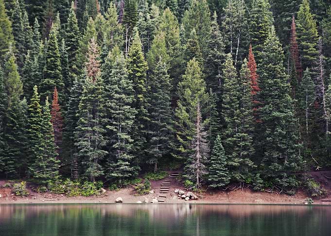 Lakeside