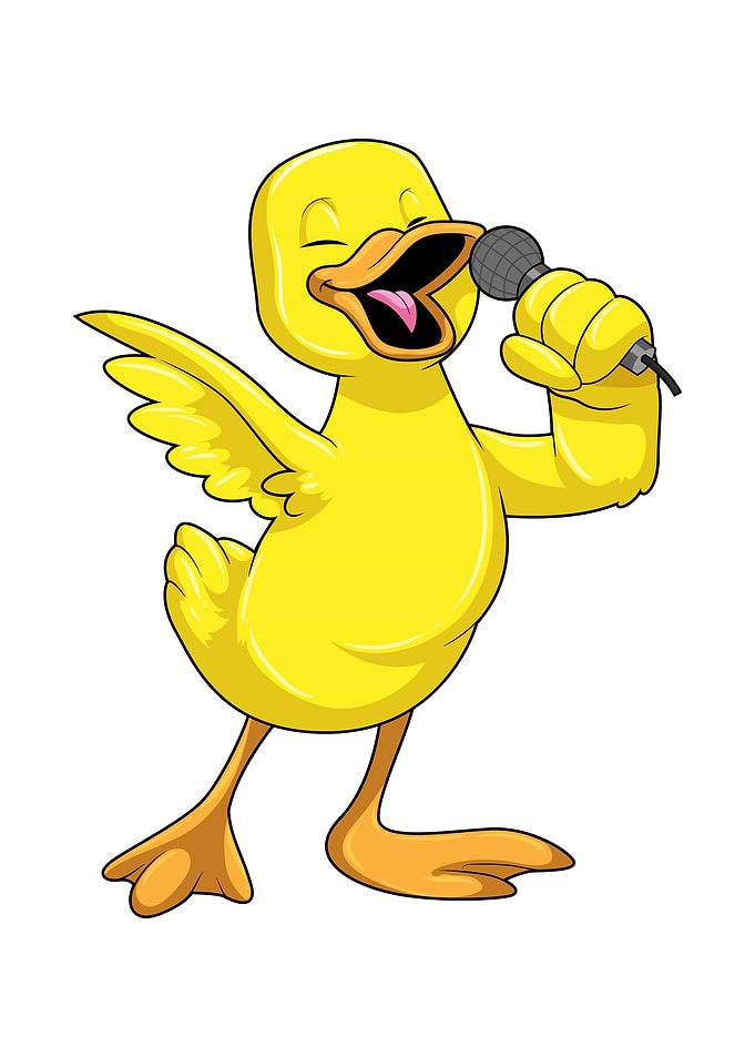 Duck Singer Microphone