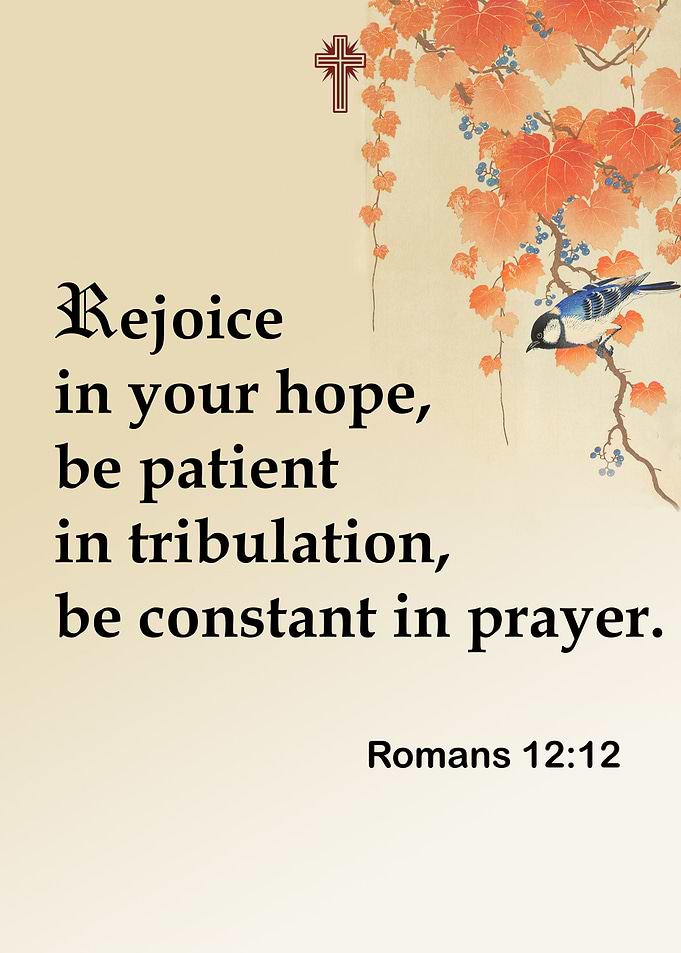 Bible Quote Romans