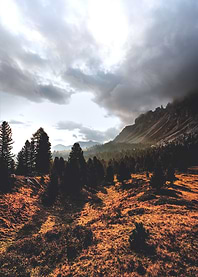 Autumnal Approach