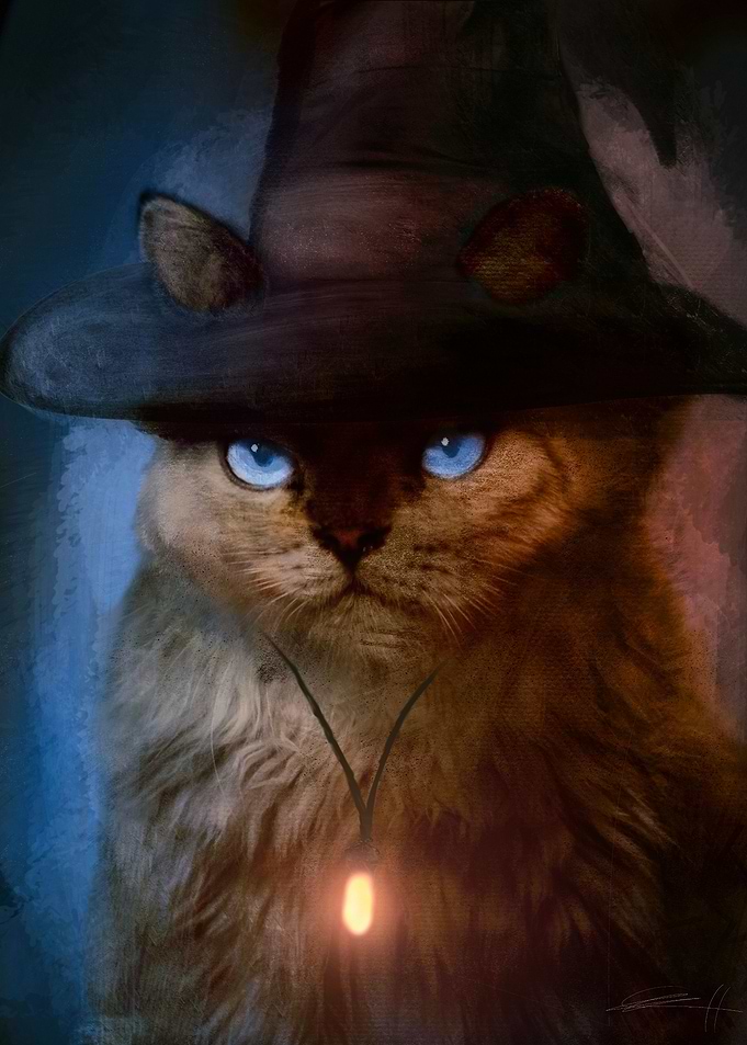 Witchcraft