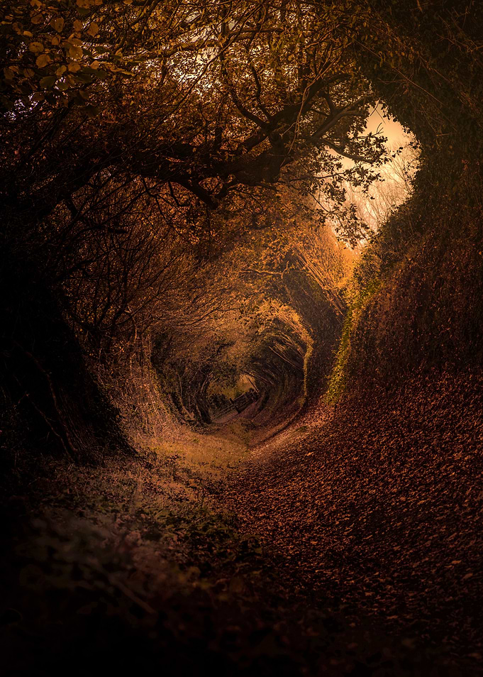 Country Path