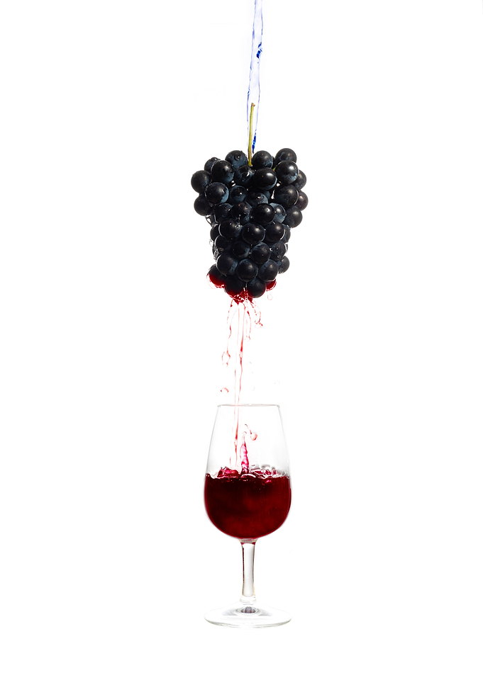 From grape to wine