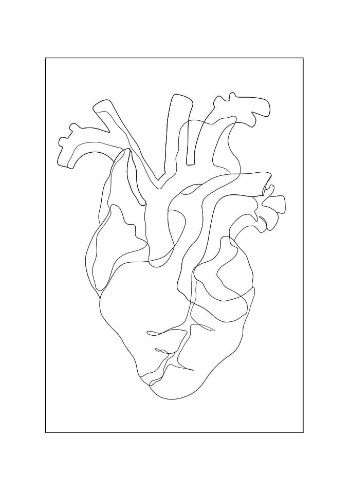 heart