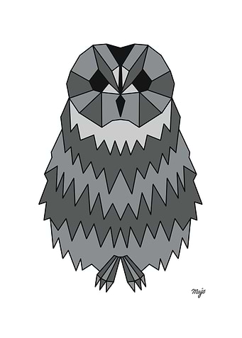 Owl White