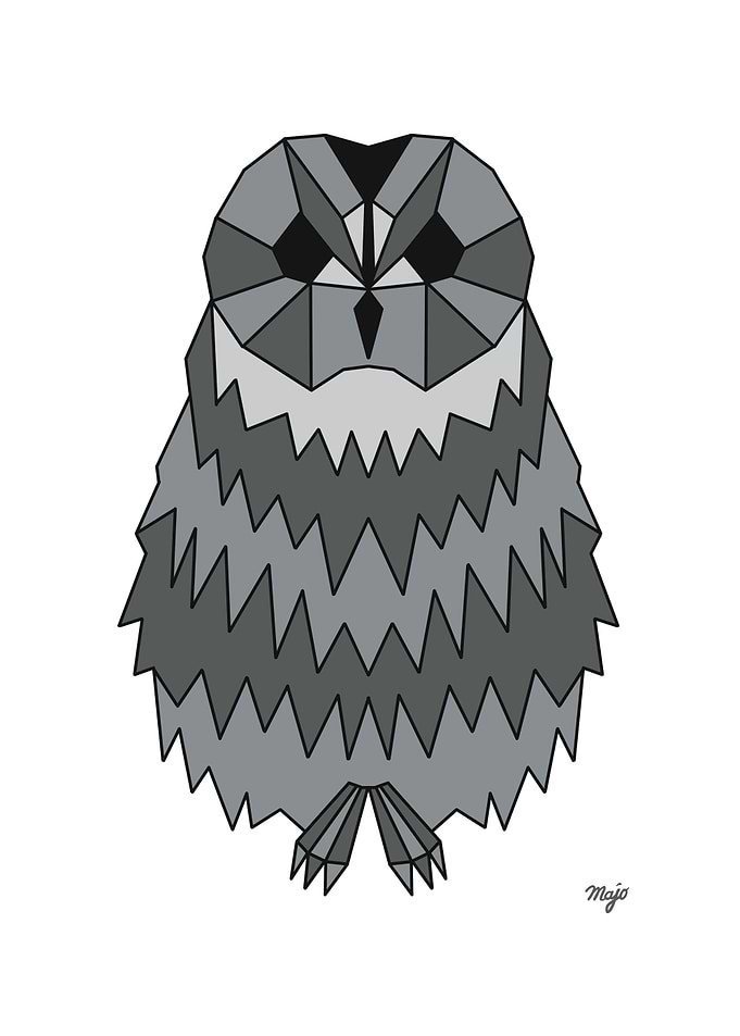 Owl White