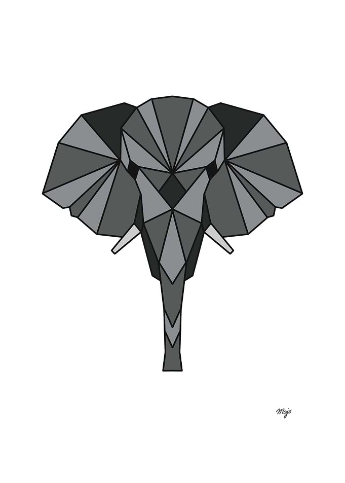 Elephant White
