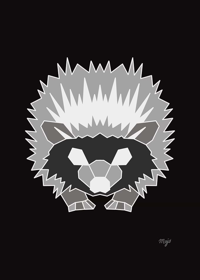 Hedgehog Black