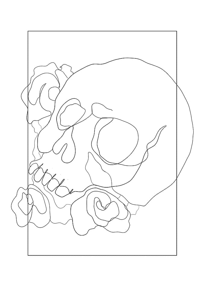 skull