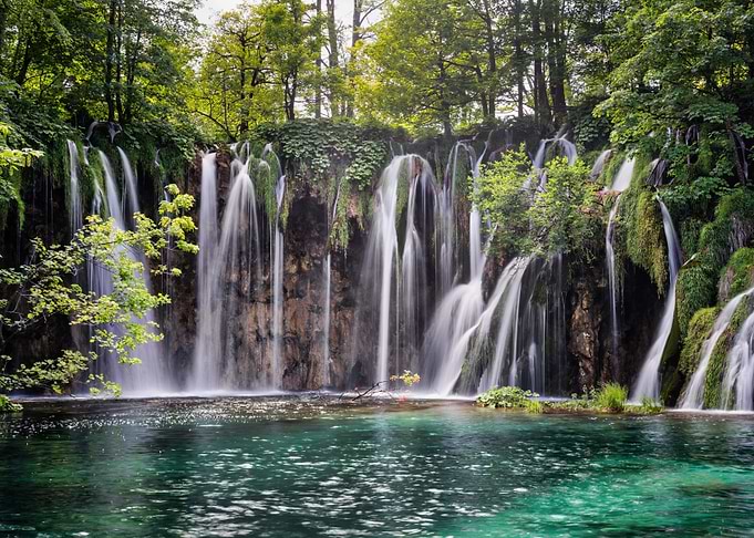 nature
