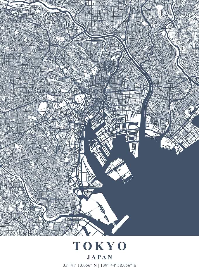 Tokyo Ash Plane Map