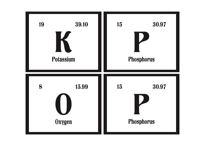 Element of K Pop