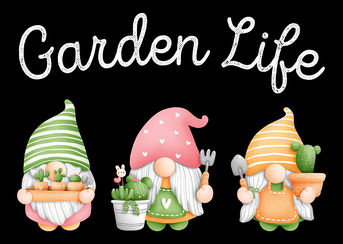 Garden Succulent Gnomes