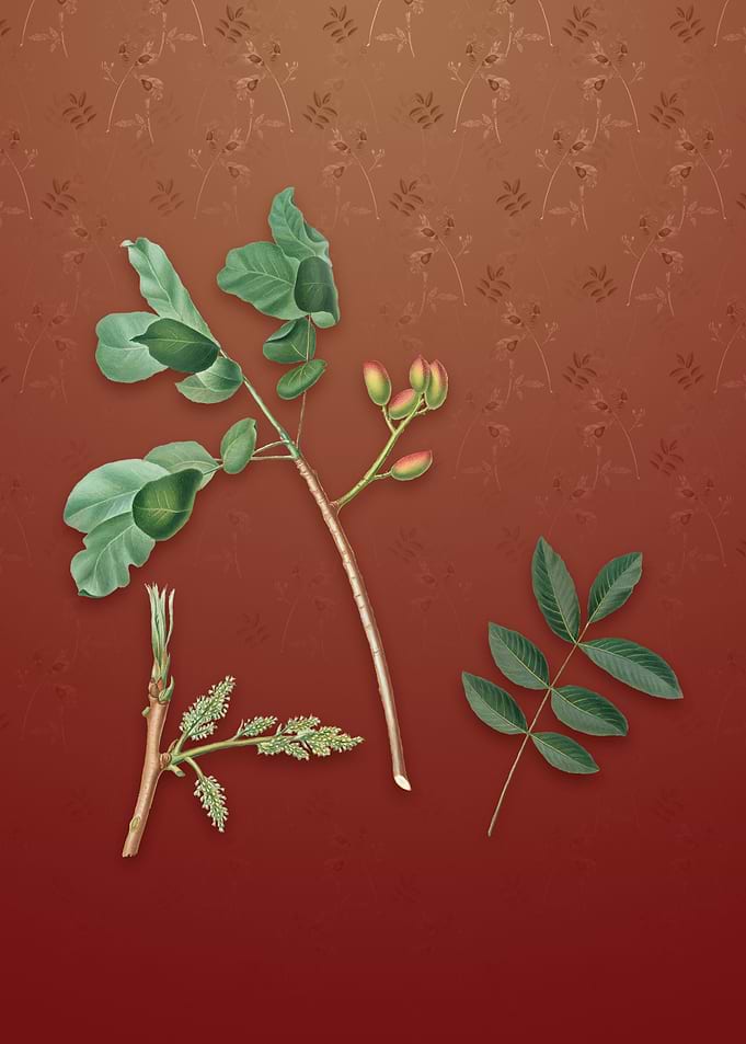Pistachio on Falu Red