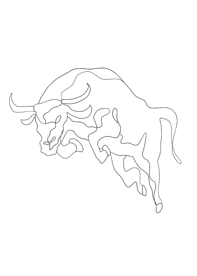 bull