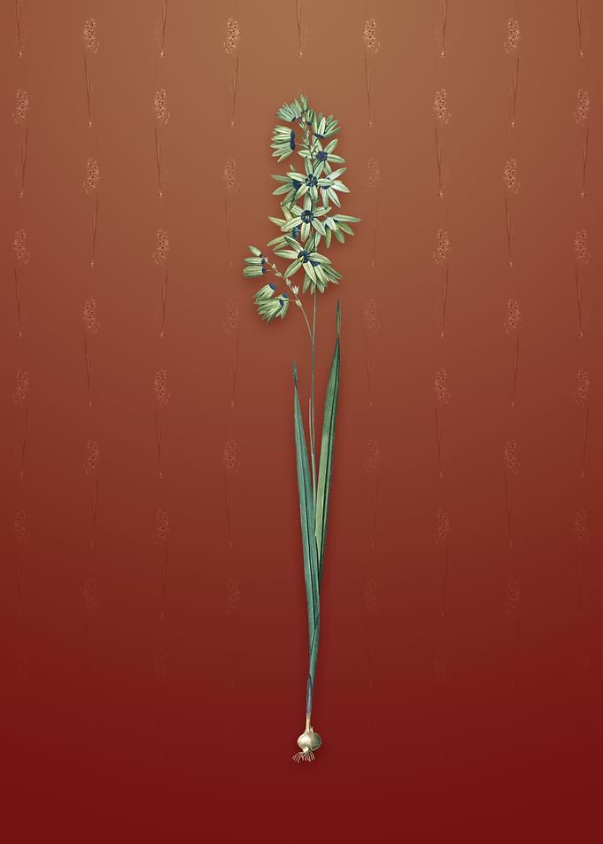 Vintage Turquoise Ixia