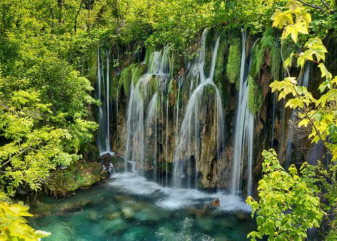waterfall forest