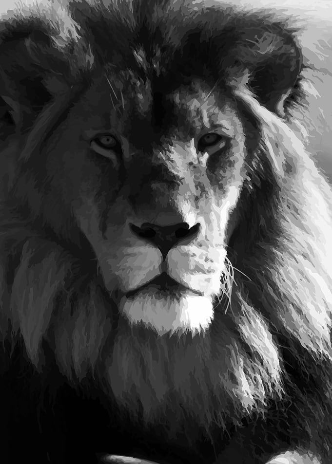 LION KING HEAD