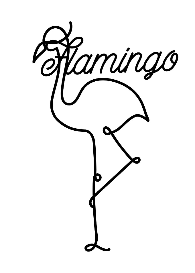 Flamingo