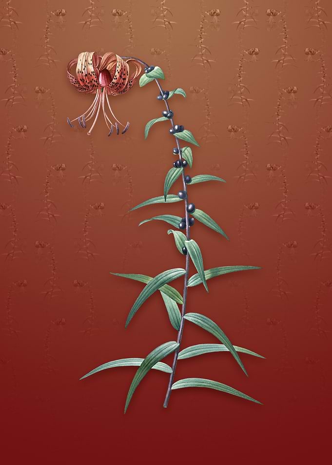 Tiger Lily on Falu Red