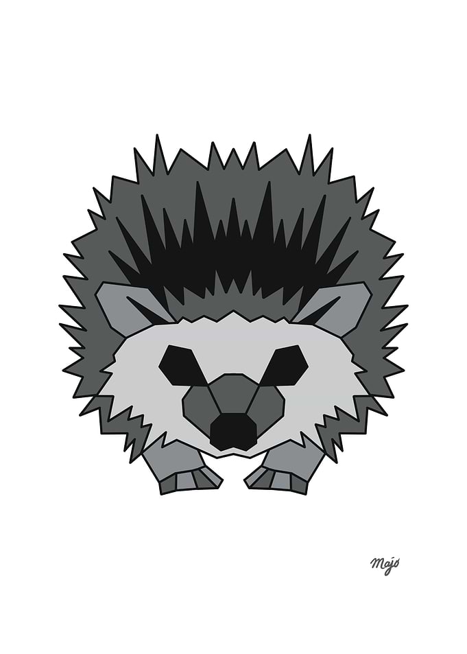 Hedgehog White