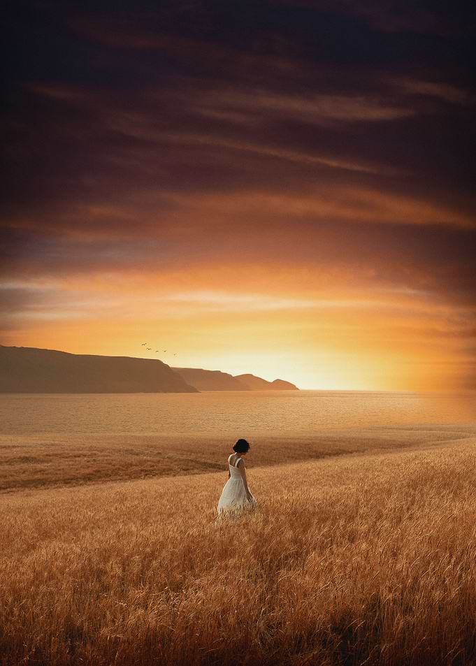 Through the Fields