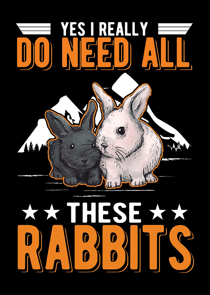 Rabbit Stable Bunny
