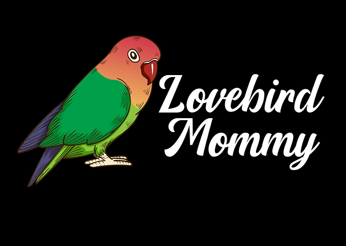 Lovebird Mommy Bird Lover