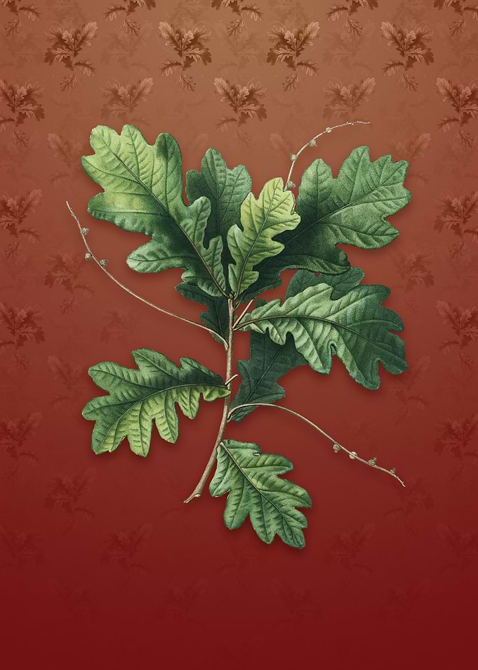 Vintage English Oak on Red