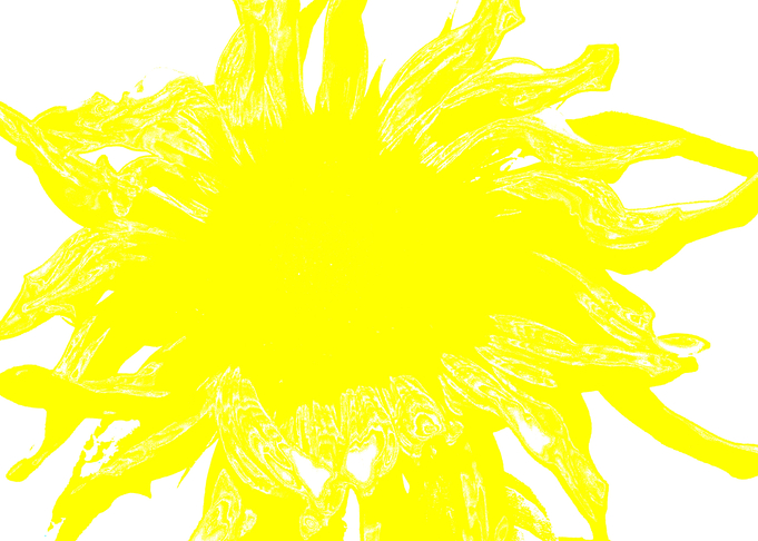 Just a sunflower