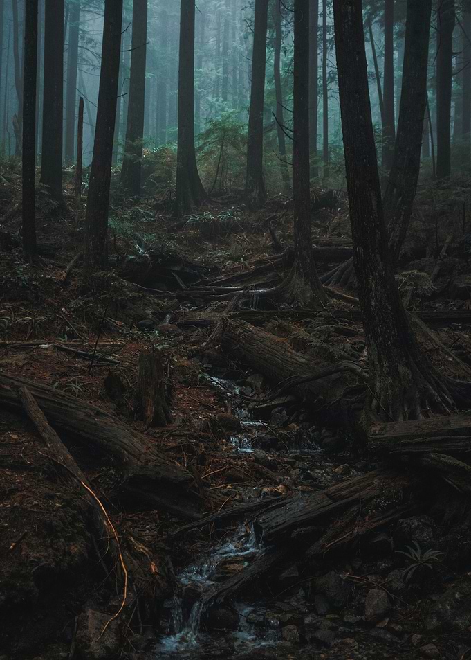 Within Nature