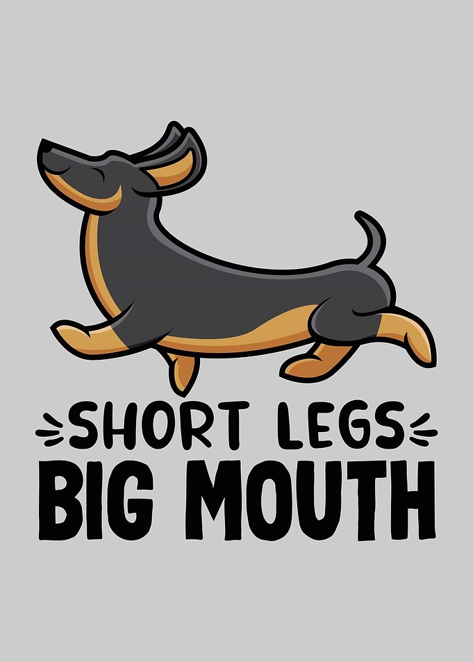 Sausage Dog Short Legs