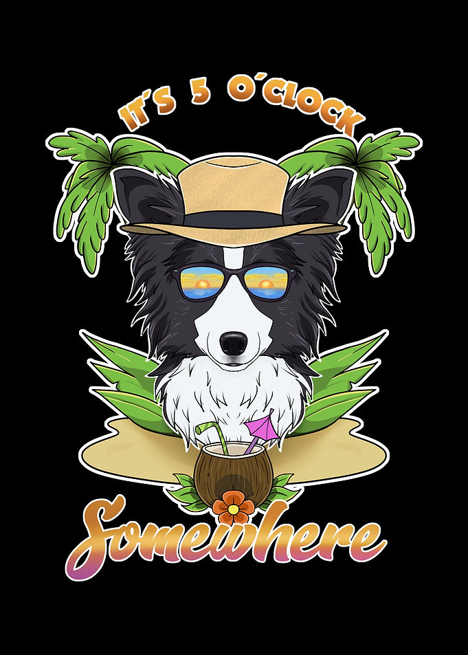 Border Collie Drinking