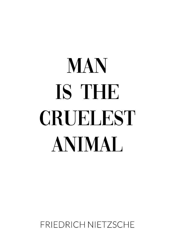 Friedrich Nietzsche Quote