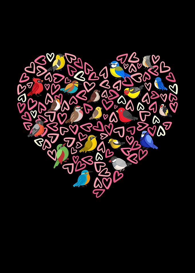 Parrot Heart