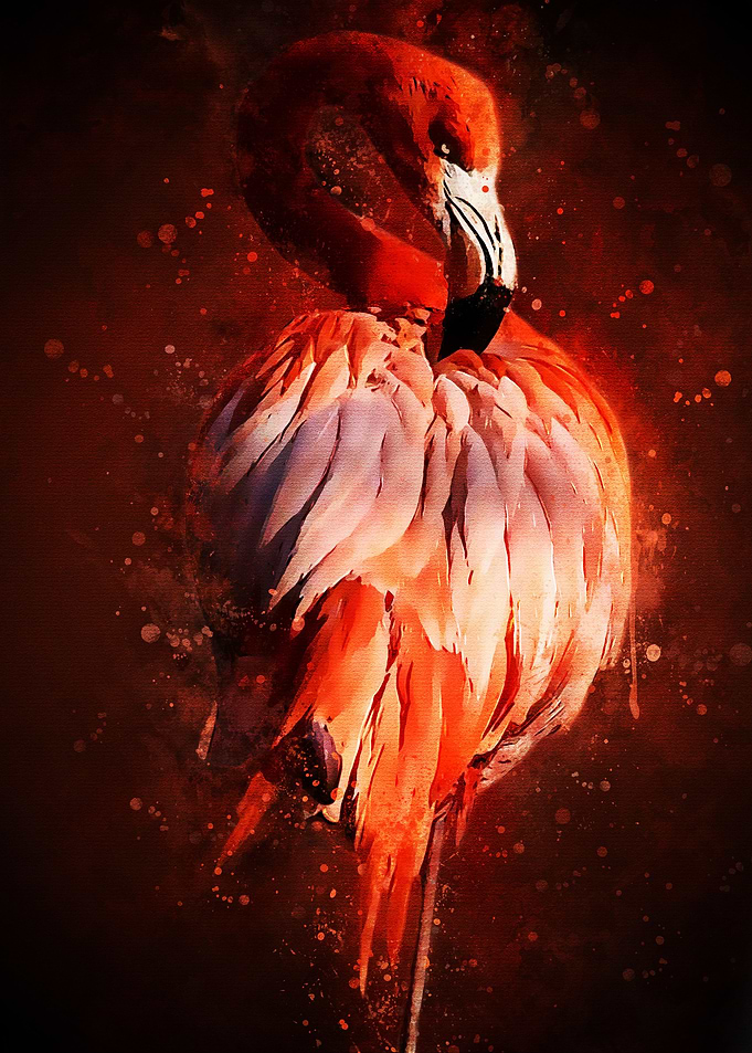 Flamingo Bird