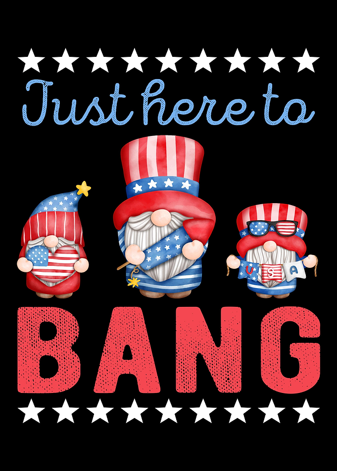 Firework Gnome 4th July