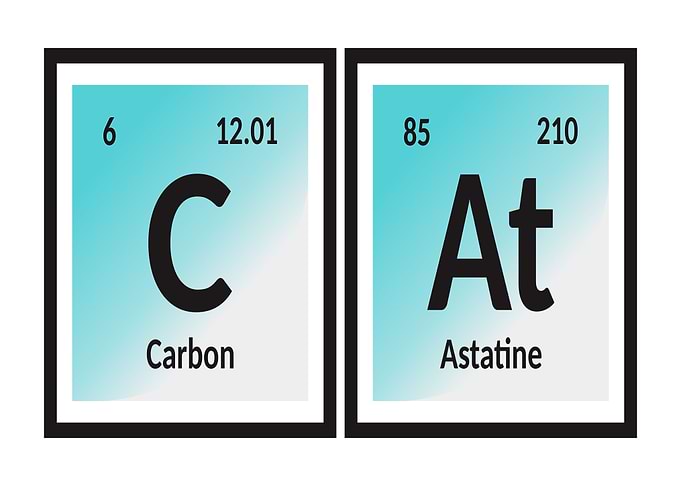 Element of Cat