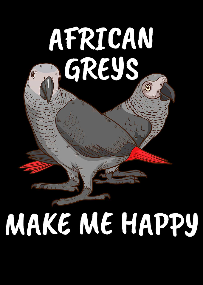 African Grey Bird Parrot