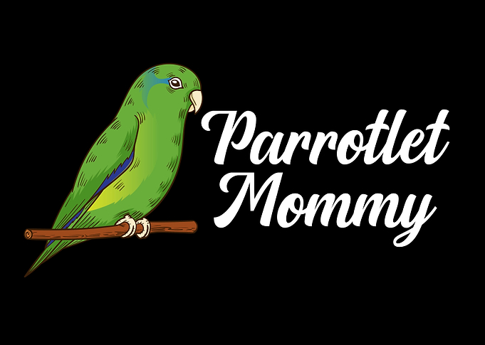 Parrotlet Mommy Bird Lover