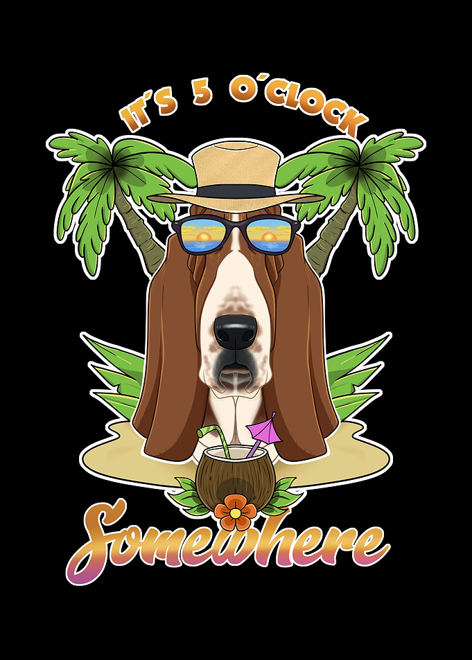 Basset Hound Drinking