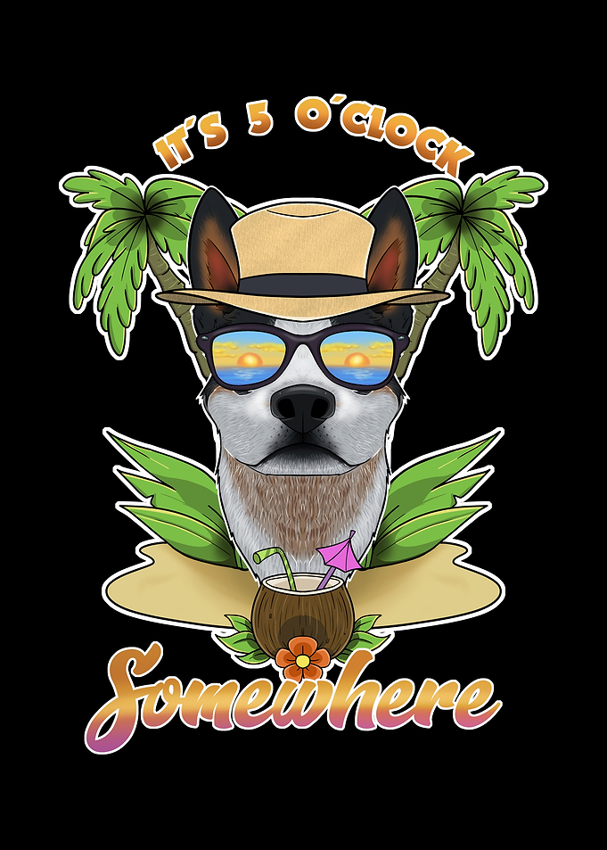 Blue Heeler Drinking Beach