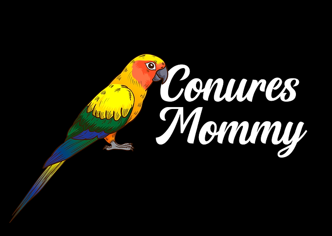 Conures Gift Bird Lover