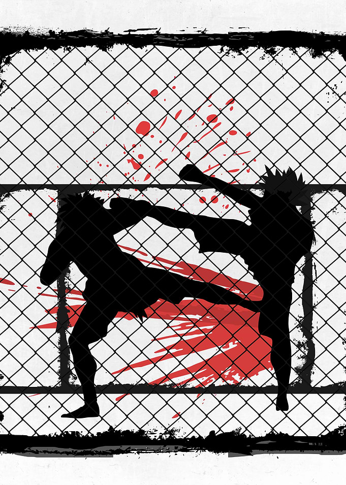 Fighting Without Rules