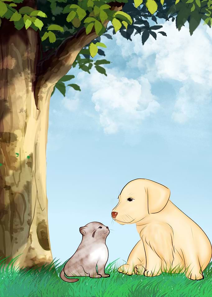 Dog and Cat by Tree Nature