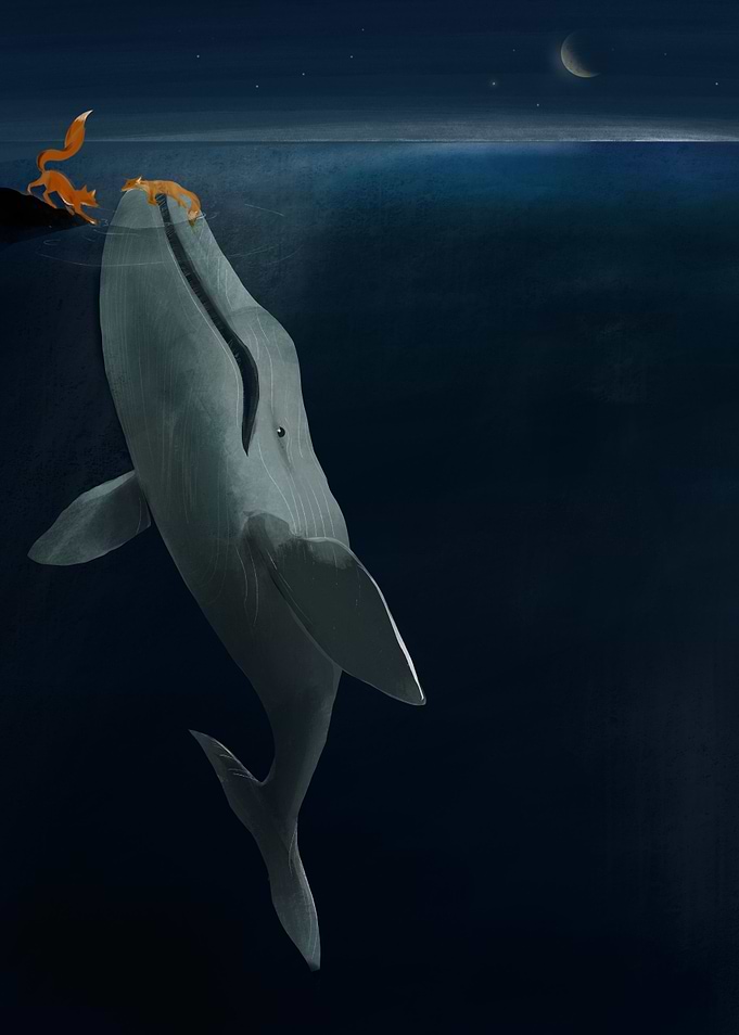 Whale save fox